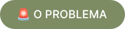 O Problema